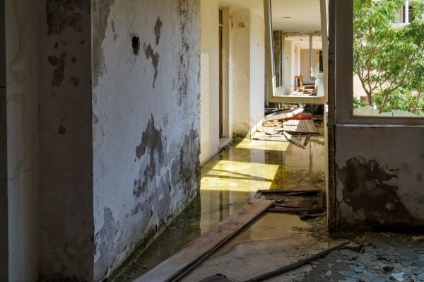 Water Removal Service in Fishers