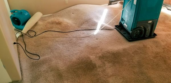 Carpet Water Extraction in Fishers