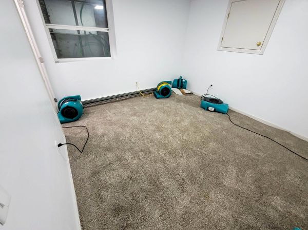 Flood Restoration Service in Fishers